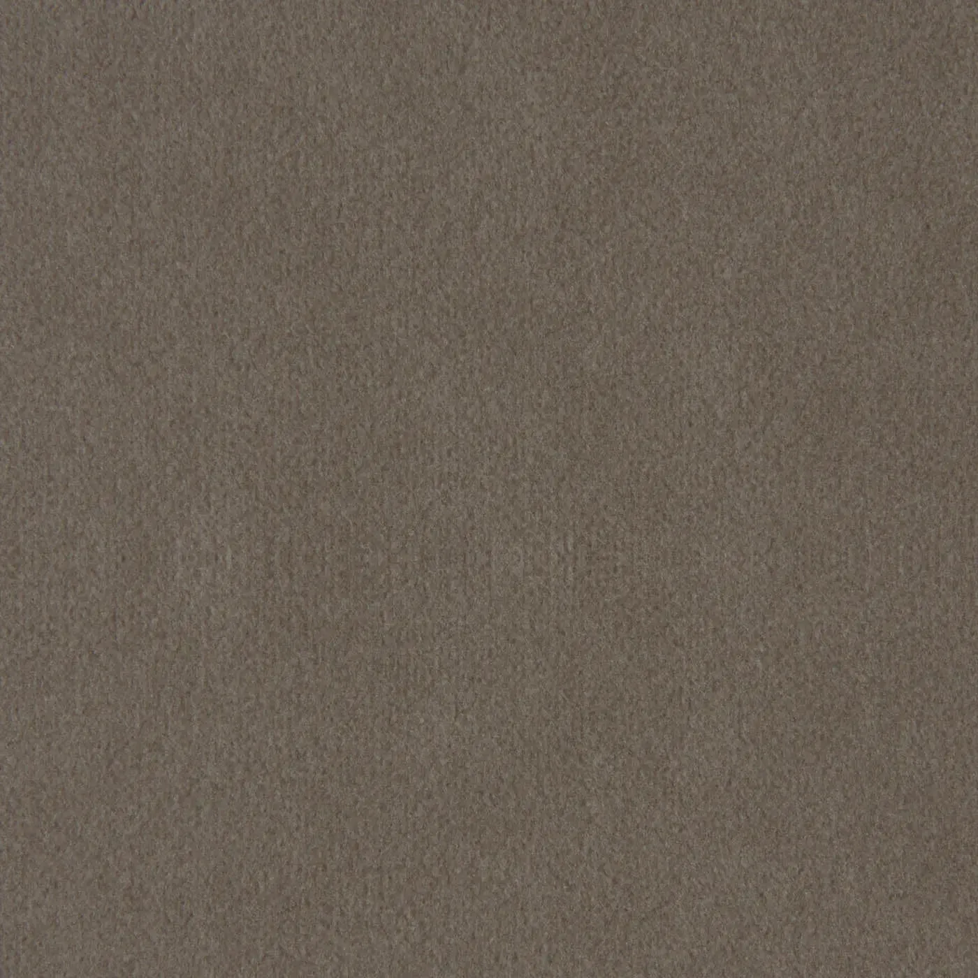 Cashmere Beige Luxury Knitted Furnishing Velvet